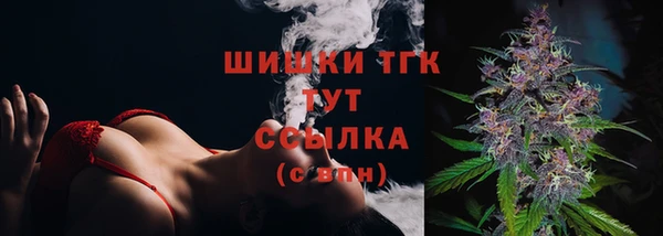 мдпв Зеленодольск