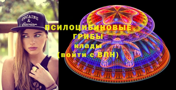 мдпв Зеленодольск