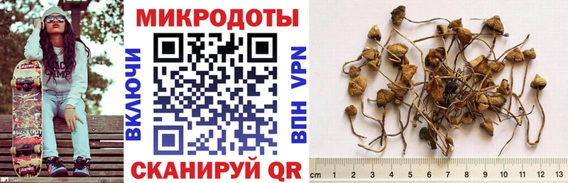 Купить закладки  Костерёво  Галлюциногенные грибы ЛСД 